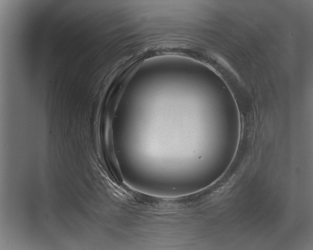 X0000075360777200609081214