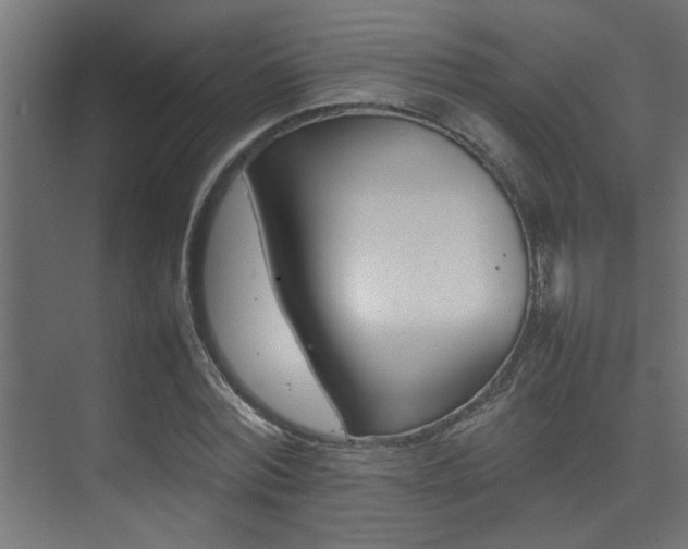 X0000075360780200609081214