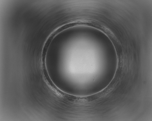 X0000075360784200609081214