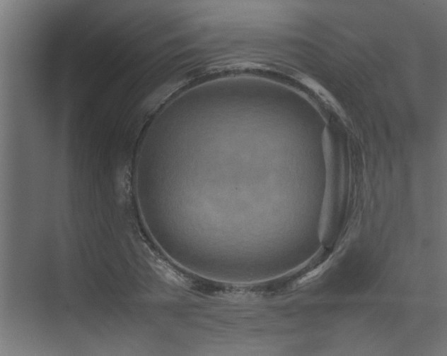 X0000075360785200609081214