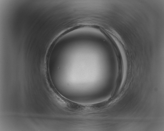 X0000075360787200609081214