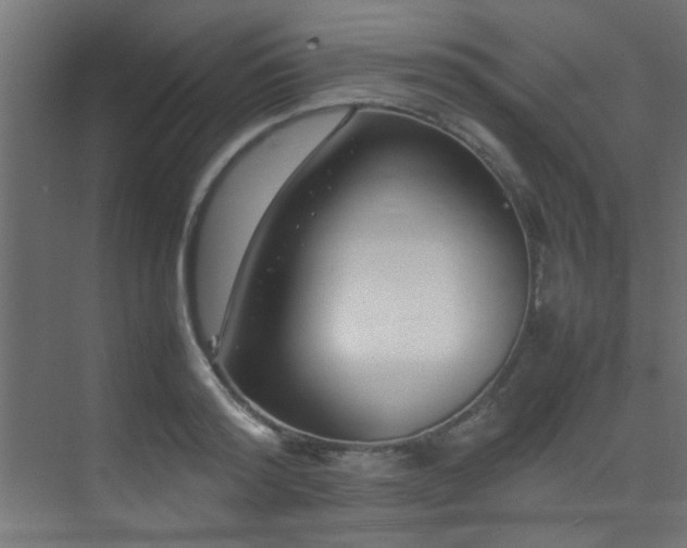 X0000075360796200609081214