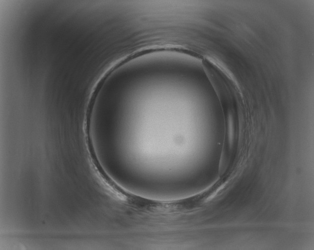 X0000075360797200609081214