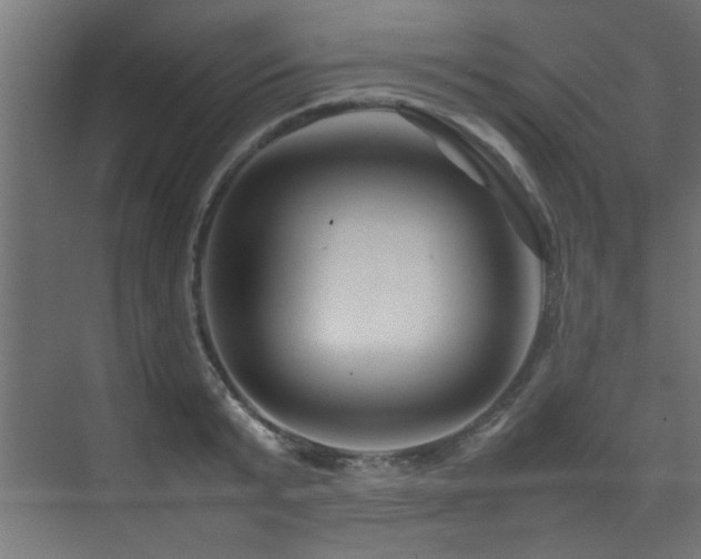 X0000075360799200609081214