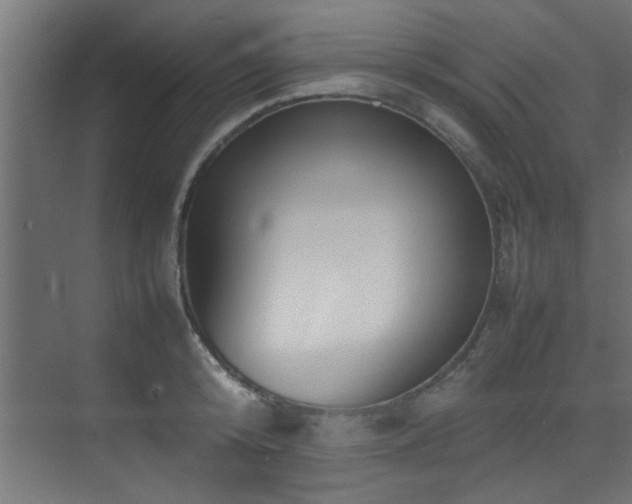 X0000075360800200609081214