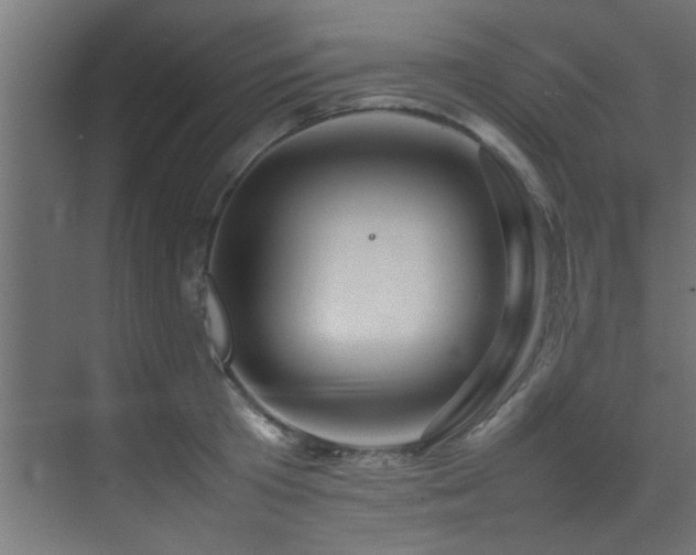 X0000075360801200609081214