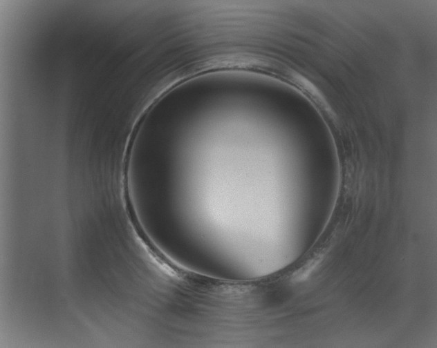 X0000075360802200609081214