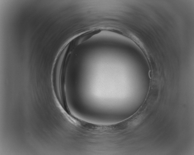 X0000075360803200609081214