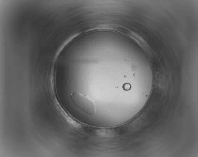 X0000075360804200609081214