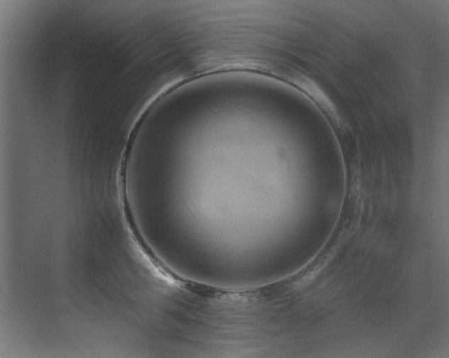 X0000075360806200609081214