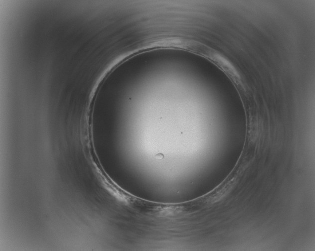 X0000075360808200609081214