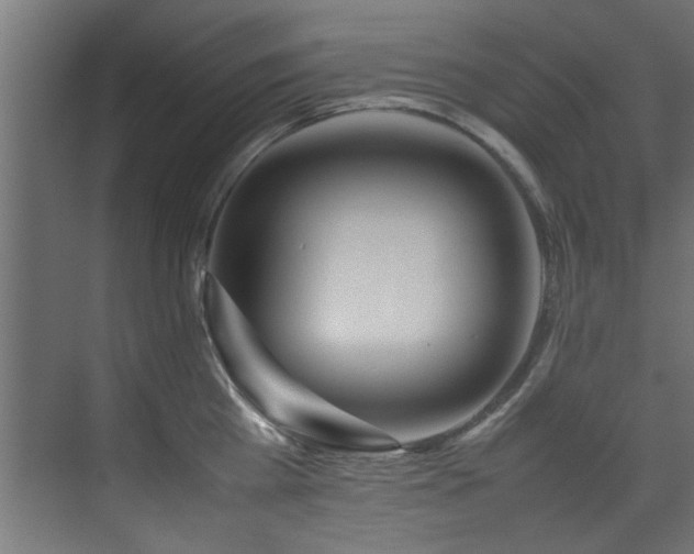 X0000075360809200609081214