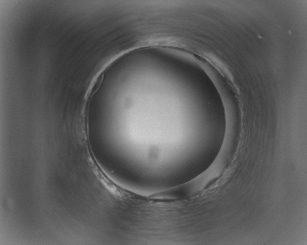 X0000075360816200609081214