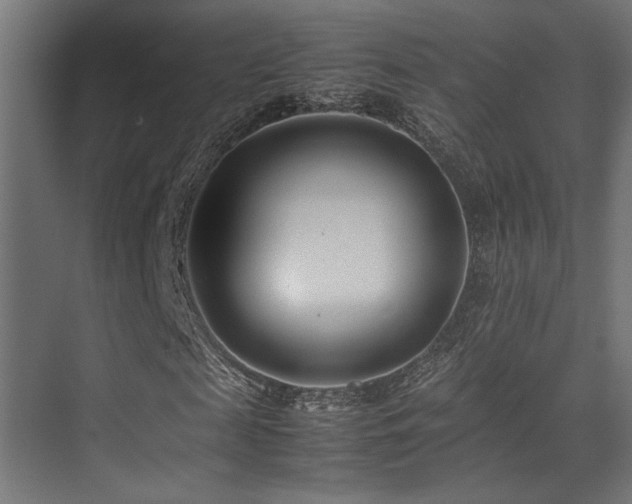 X0000075360817200609081213