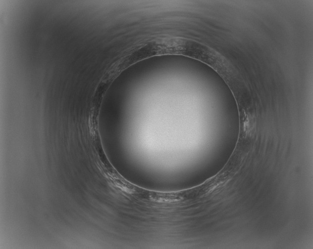 X0000075360819200609081213