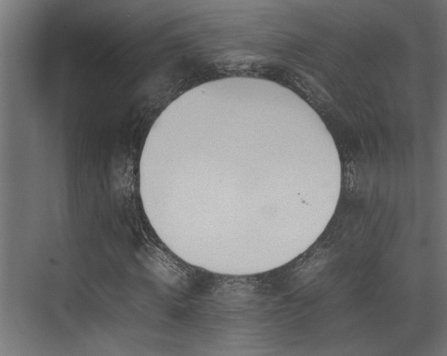 X0000075360820200609081213