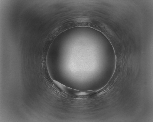 X0000075360821200609081213