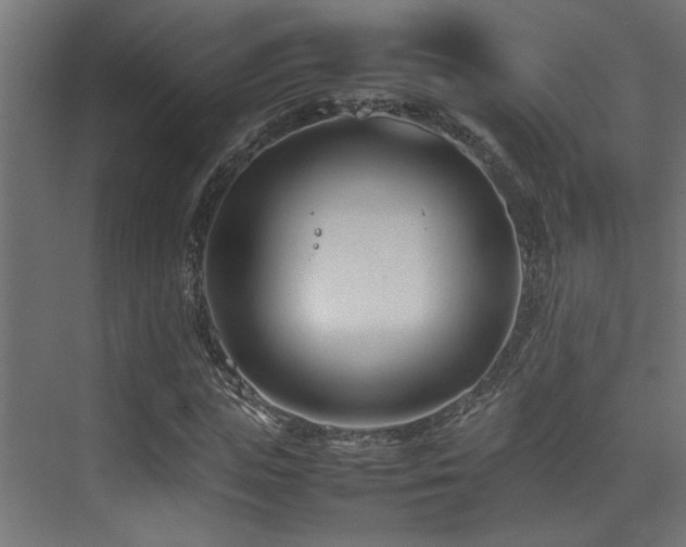 X0000075360823200609081213