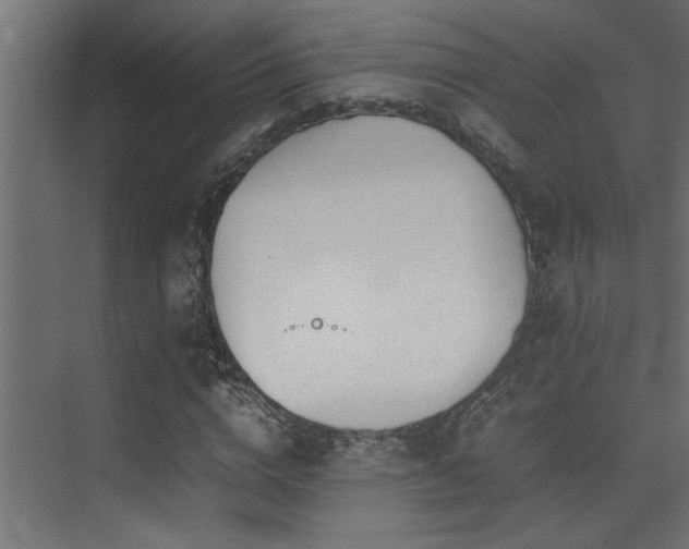 X0000075360824200609081213