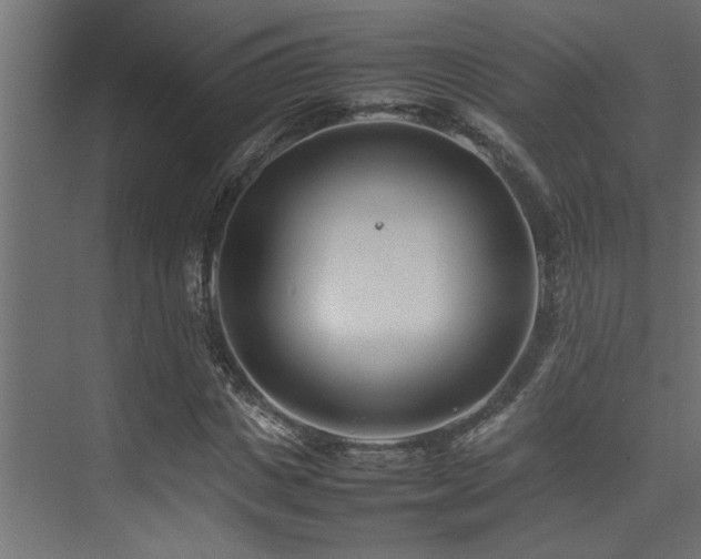 X0000075360825200609081213