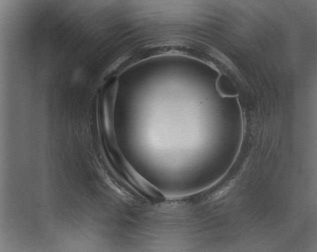 X0000075360826200609081213