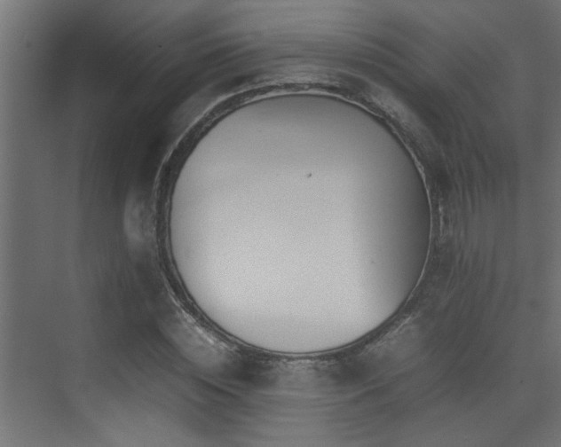 X0000075360828200609081213