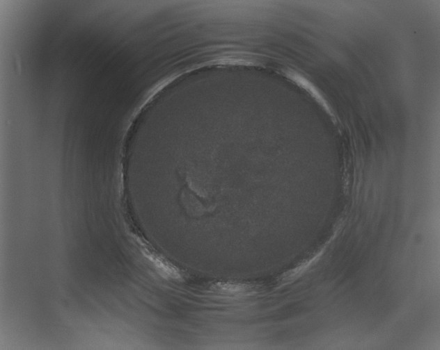 X0000075360829200609081213