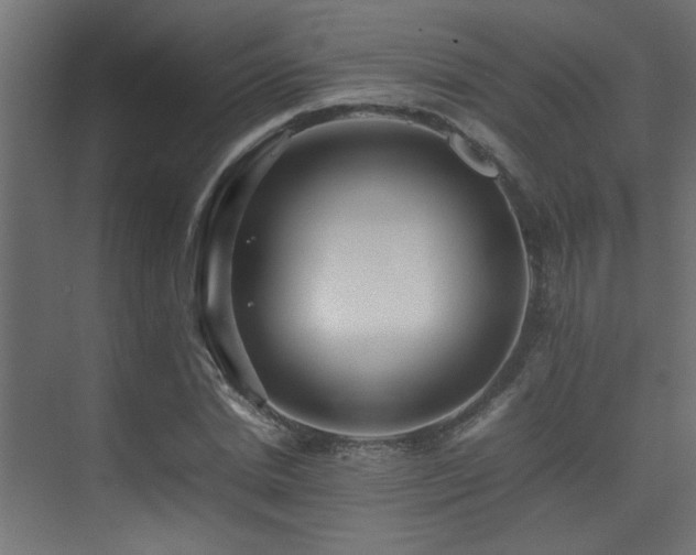 X0000075360830200609081213