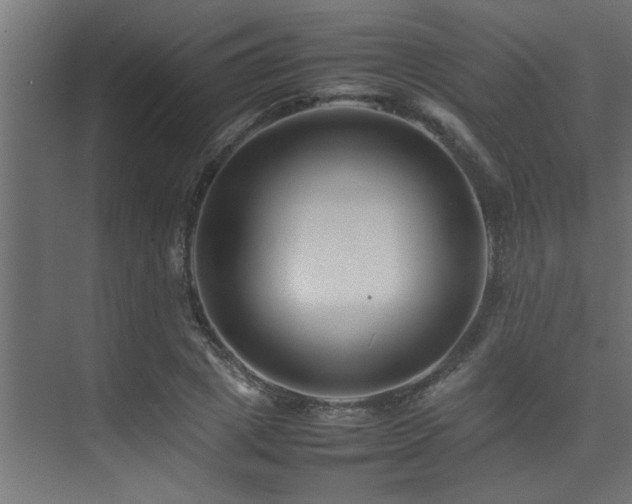 X0000075360833200609081213