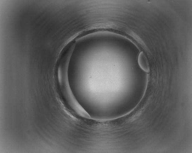 X0000075360834200609081213