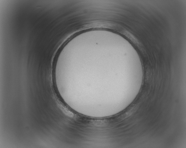 X0000075360836200609081213