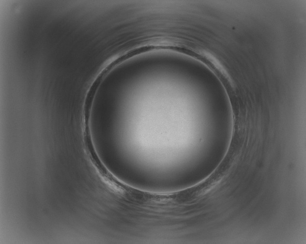 X0000075360837200609081213