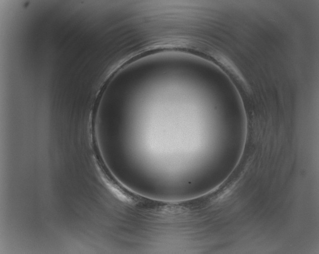 X0000075360842200609081213