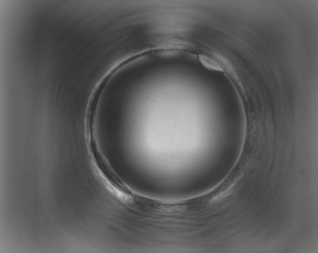 X0000075360843200609081213