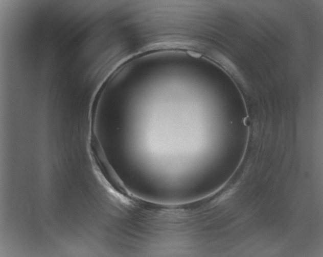 X0000075360844200609081213