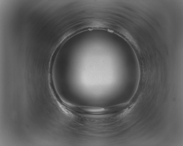 X0000075360845200609081213