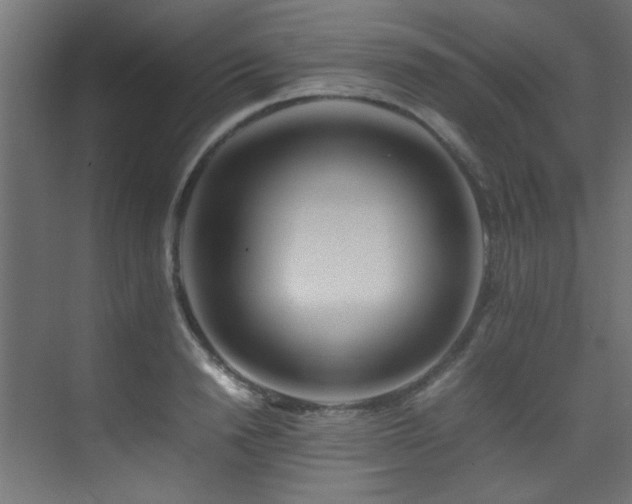 X0000075360846200609081213