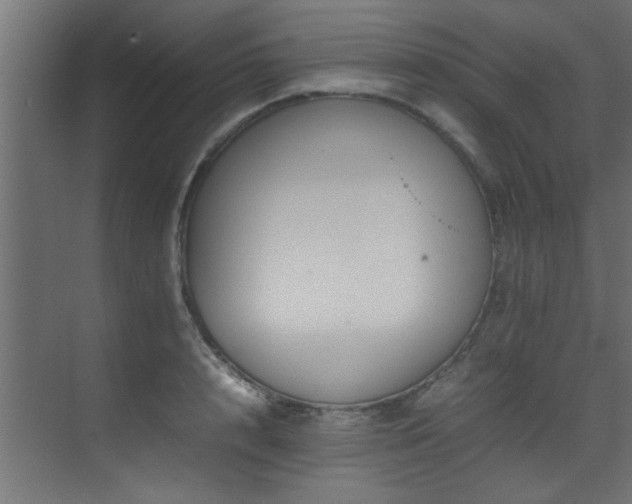 X0000075360848200609081213