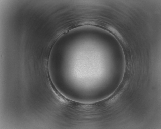 X0000075360849200609081213