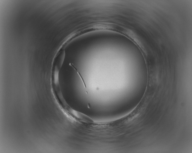 X0000075360853200609081213