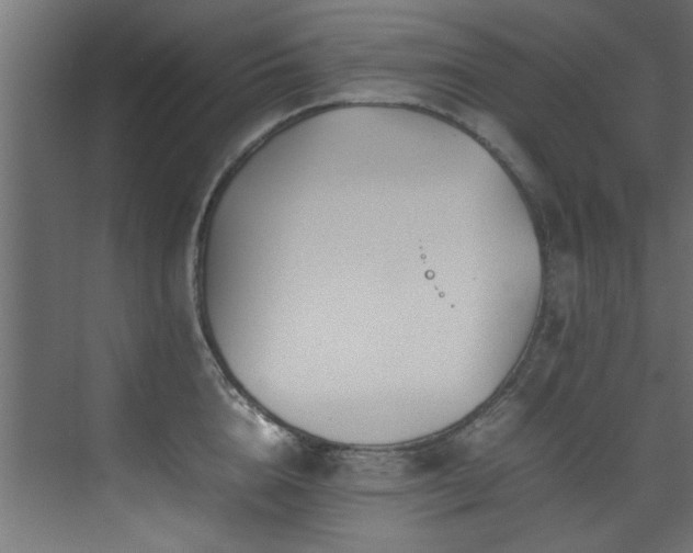 X0000075360856200609081213