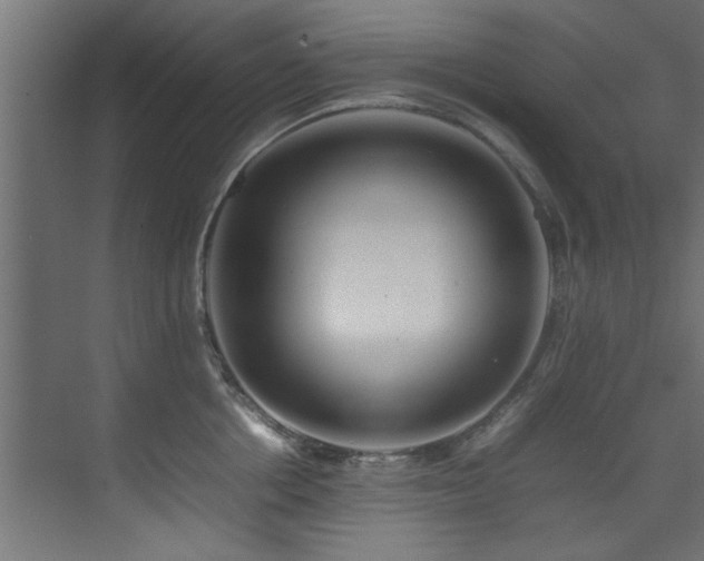 X0000075360858200609081213