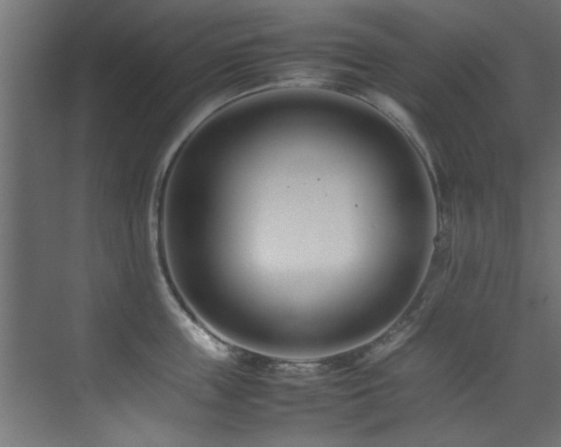 X0000075360859200609081213