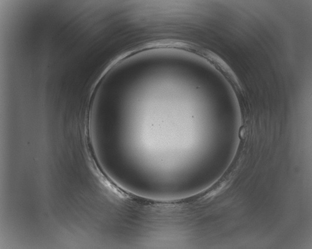 X0000075360860200609081213