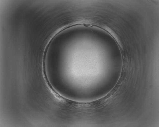 X0000075360861200609081214