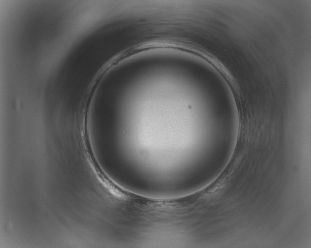 X0000075360862200609081214