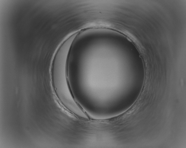 X0000075360864200609081214