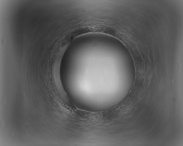 X0000075360865200609081213