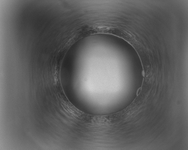 X0000075360866200609081213