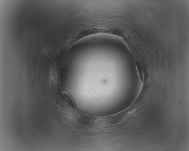 X0000075360867200609081213